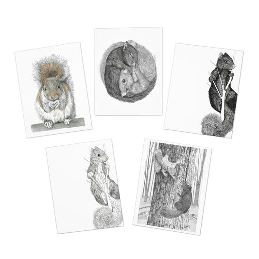 Squirrel notecard 5-card pack