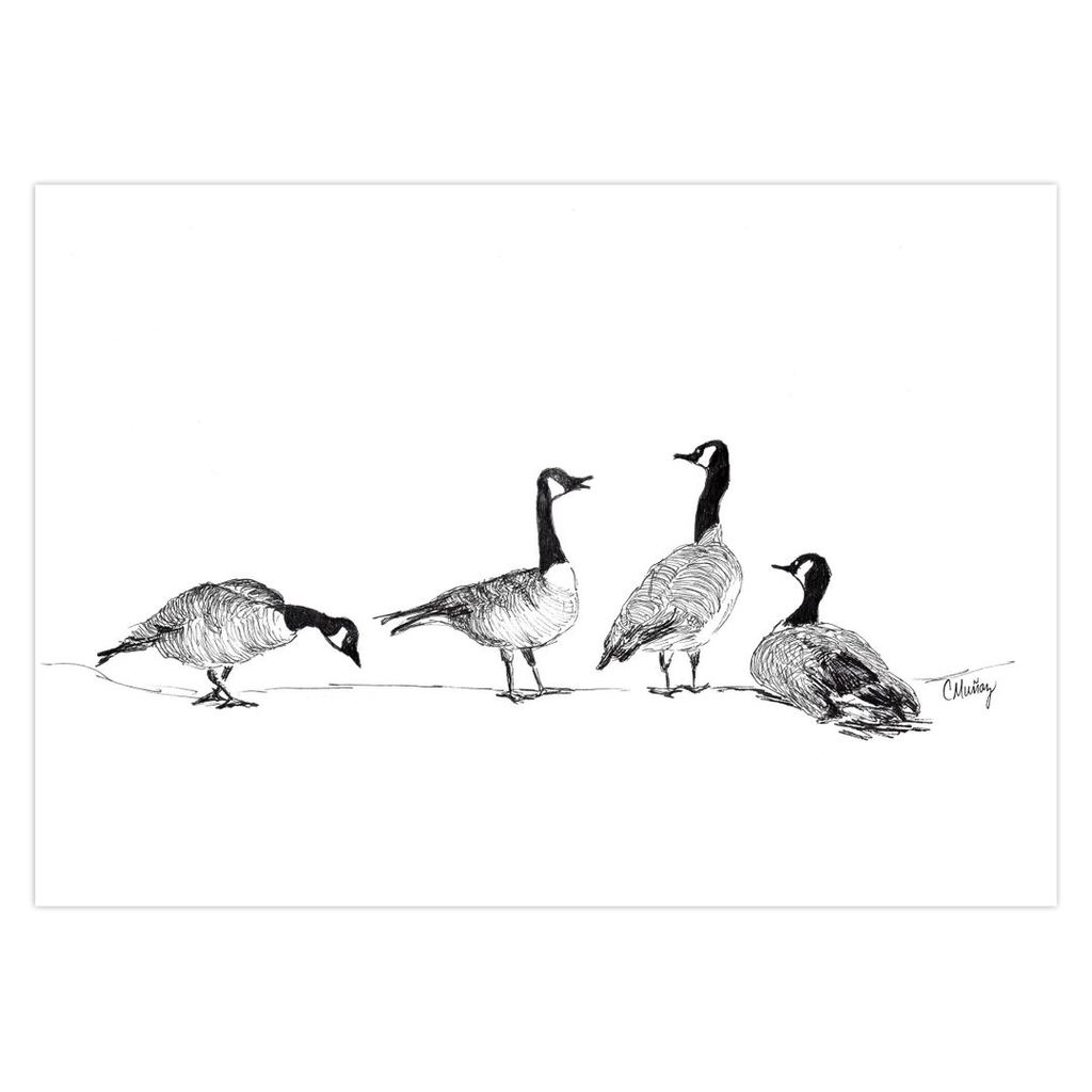 Geese at Rest card