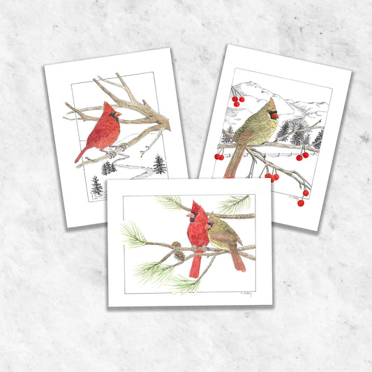 Cardinal 3-card pack