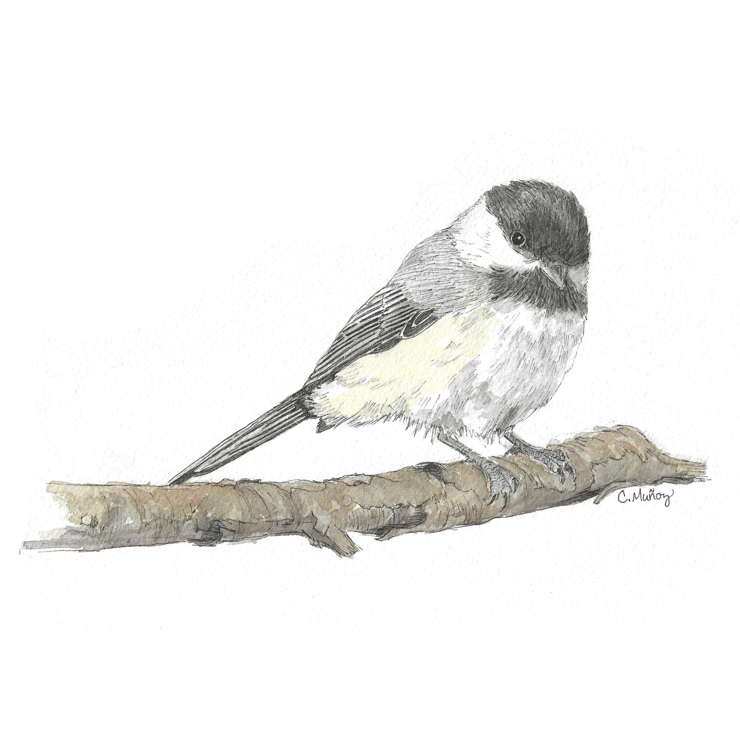 Chickadee Assorted Notecard Set