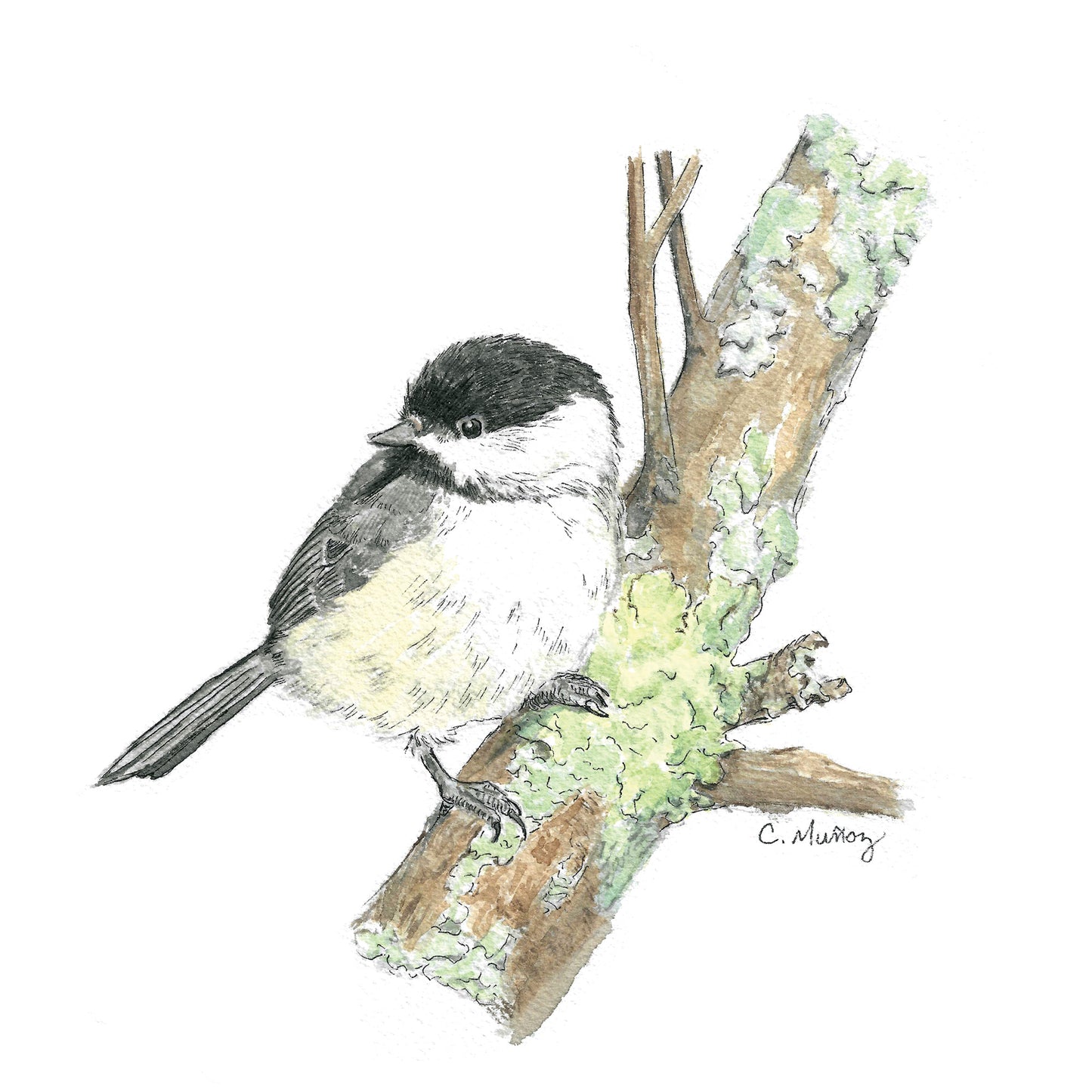 Chickadee Assorted Notecard Set