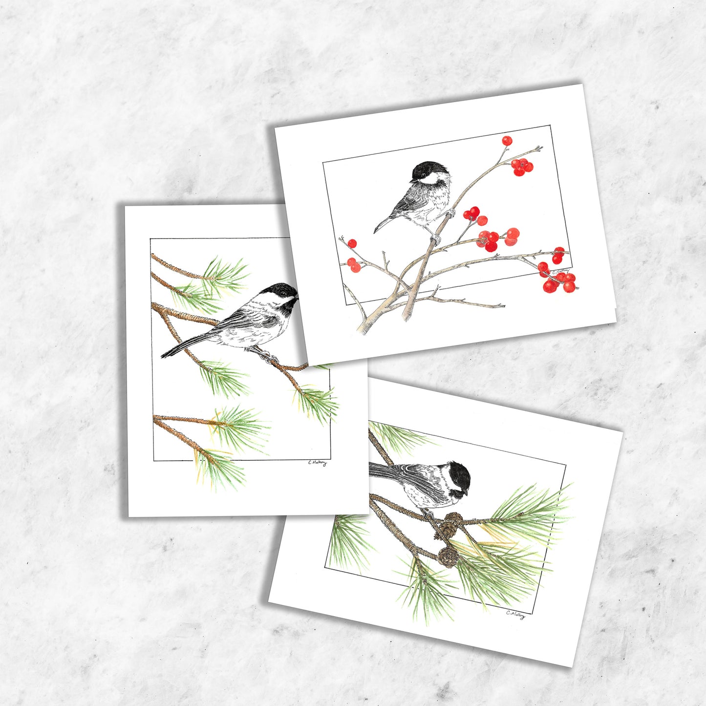 Chickadee 3-card pack