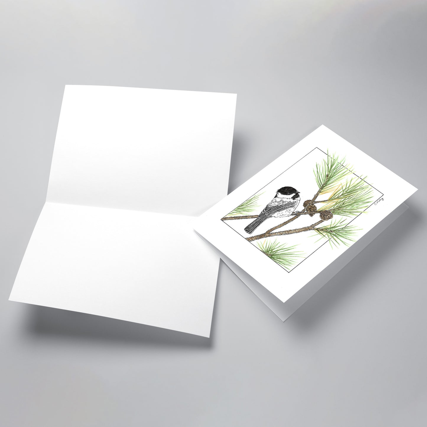 Chickadee 3-card pack