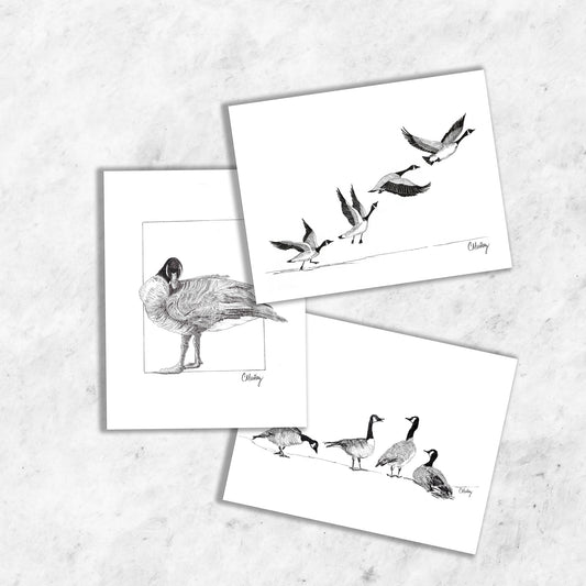 Geese 3-card pack