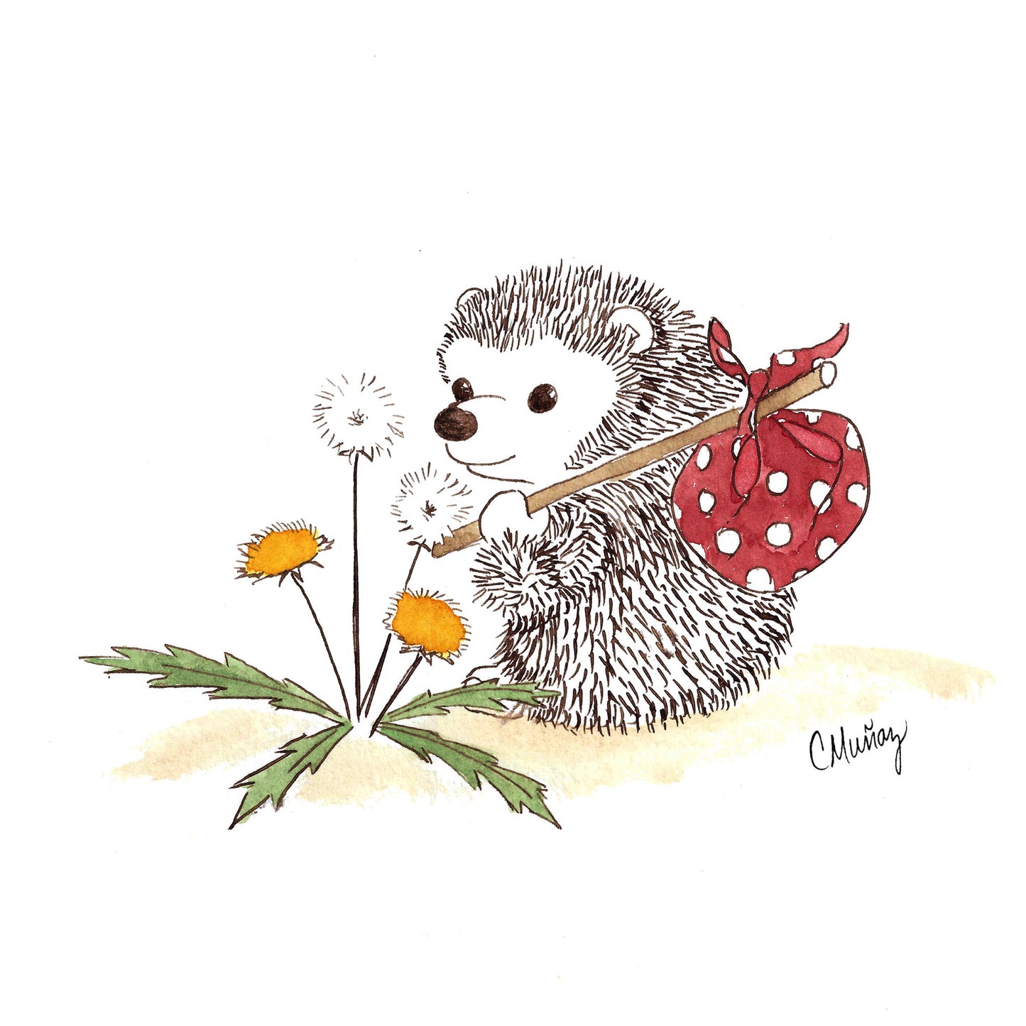 Hedgehog Assorted Notecard Set