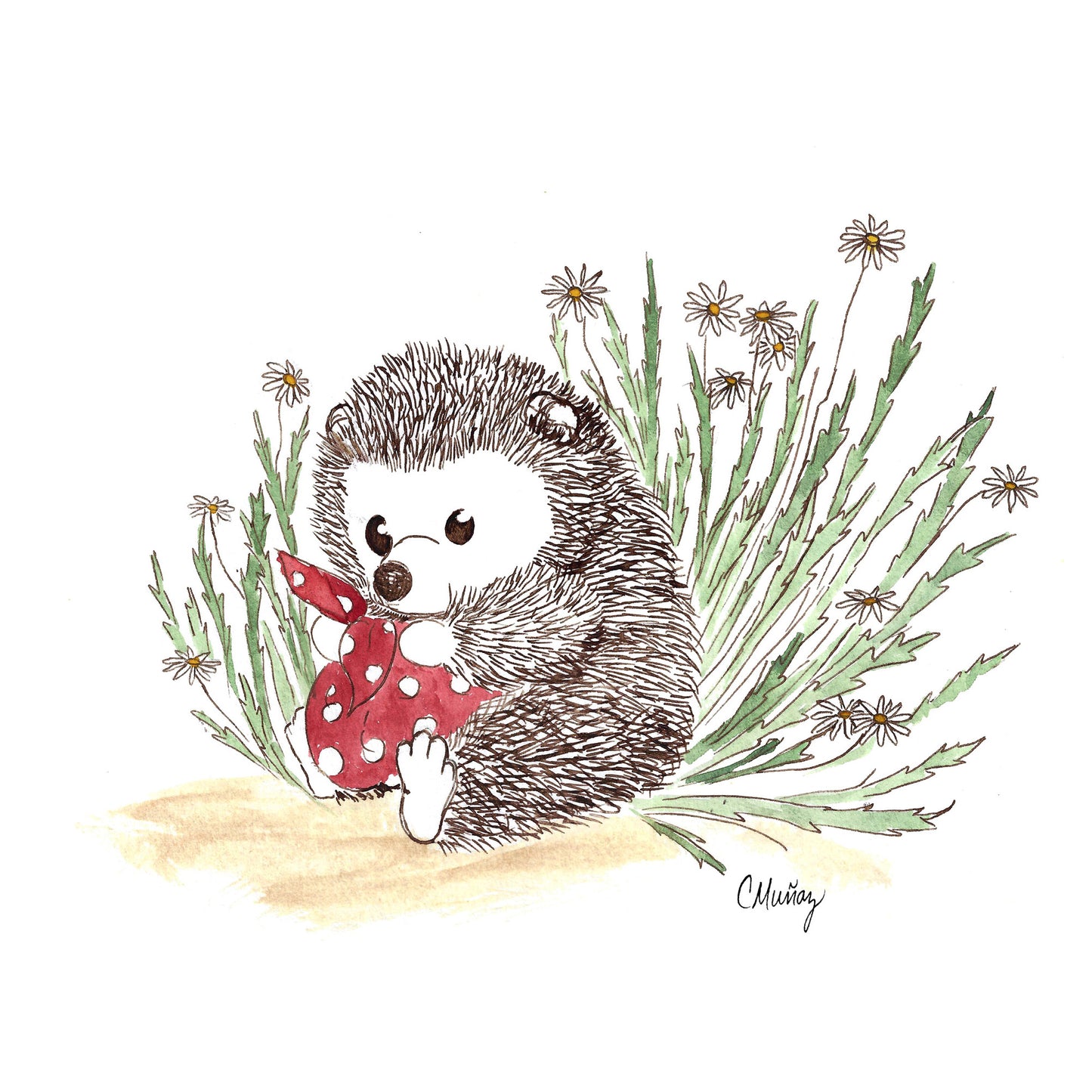 Hedgehog Assorted Notecard Set