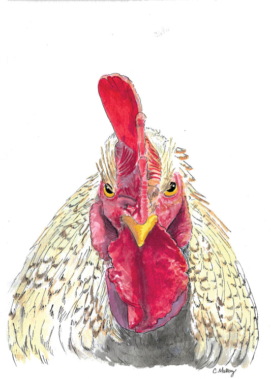 Chicken on You greeting card