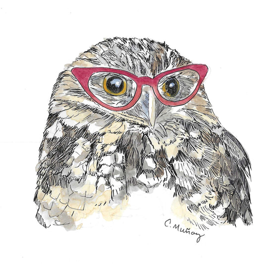 Owls with Glasses Assorted Notecard Set