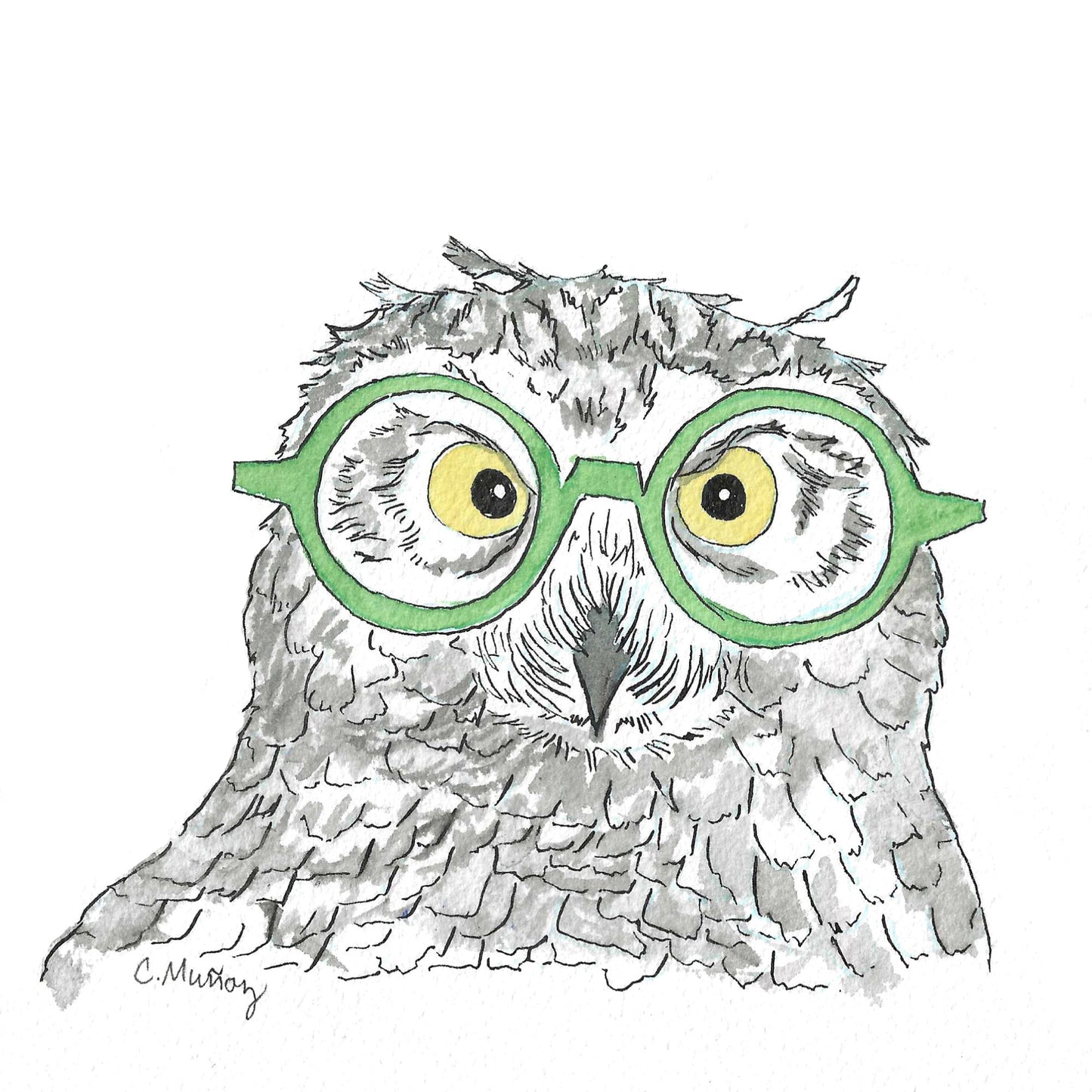 Owls with Glasses Assorted Notecard Set