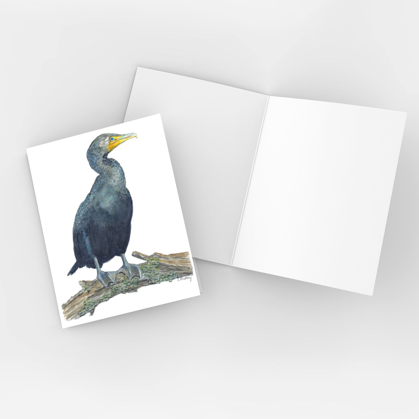 Cormorants 3-card pack