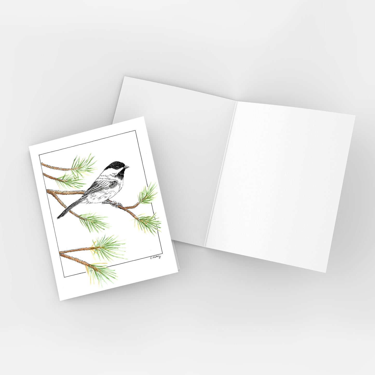 Chickadee 3-card pack