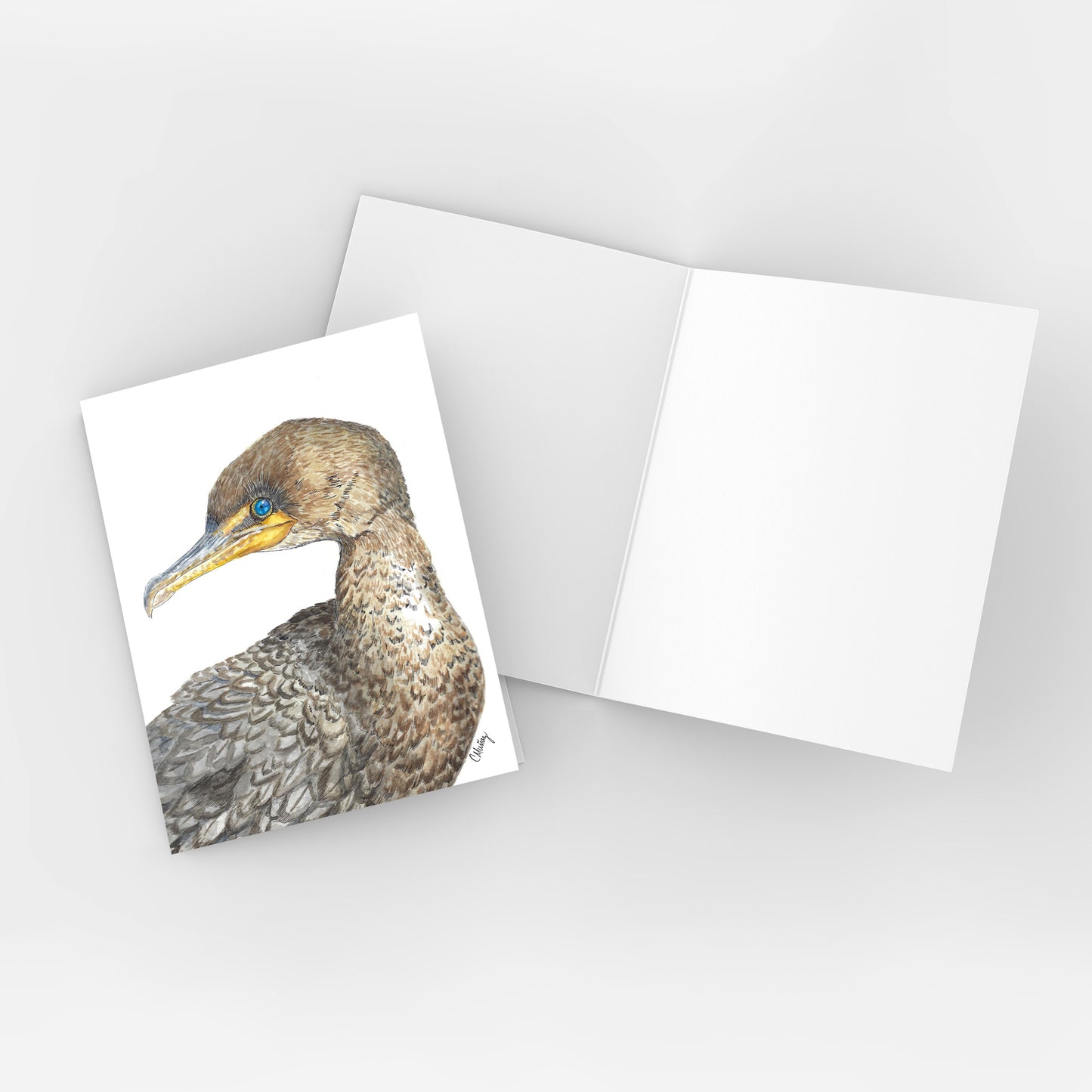 Cormorants 3-card pack